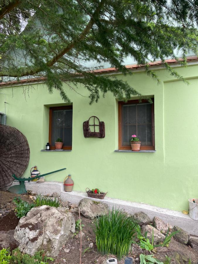 Hotel Na Upati Palavy Horni Vestonice Exterior foto