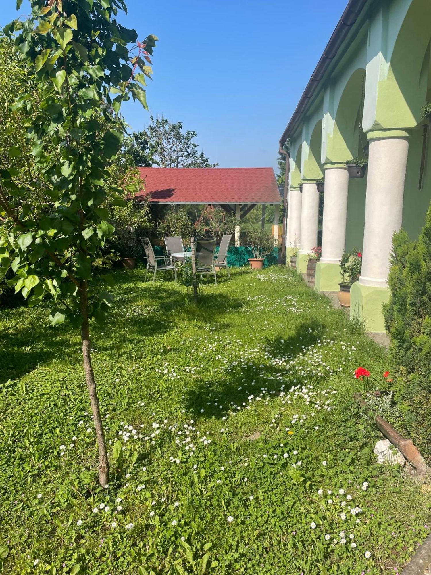 Hotel Na Upati Palavy Horni Vestonice Exterior foto